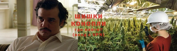 ПСИЛОЦИБИНОВЫЕ ГРИБЫ Алексеевка