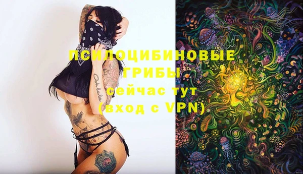 кокаин колумбия Алзамай