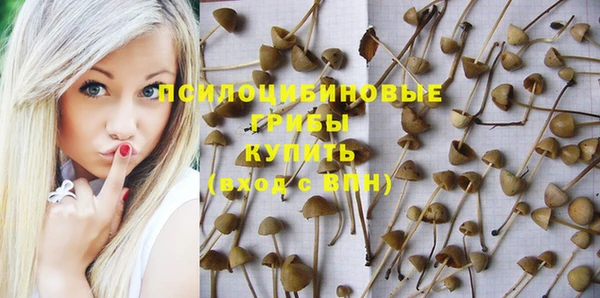 ПСИЛОЦИБИНОВЫЕ ГРИБЫ Алексеевка