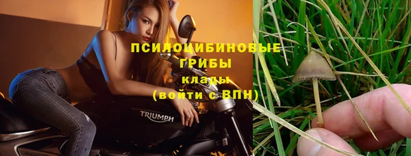 тгк Алексин